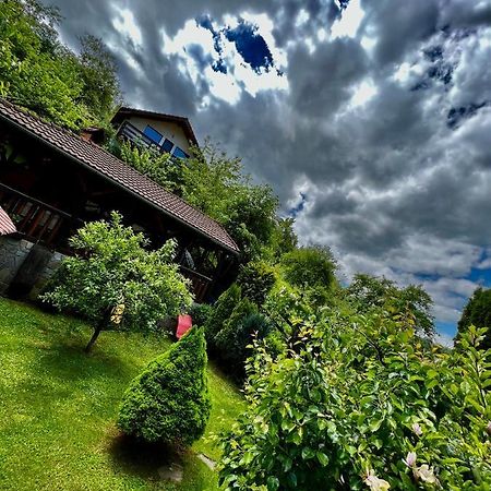 Cabana Vanatorilor Poiana Mărului Екстериор снимка