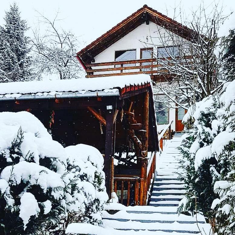 Cabana Vanatorilor Poiana Mărului Екстериор снимка