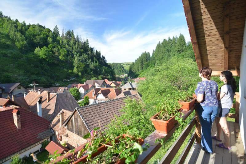 Cabana Vanatorilor Poiana Mărului Екстериор снимка