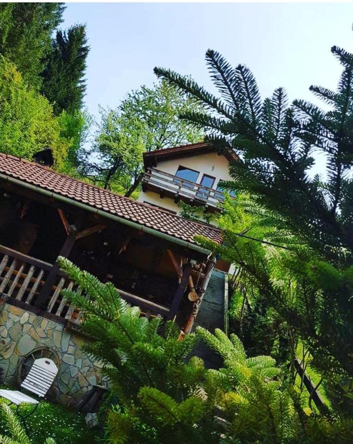Cabana Vanatorilor Poiana Mărului Екстериор снимка