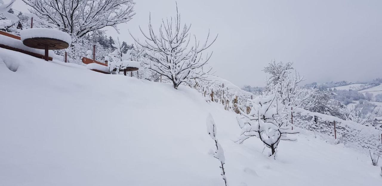 Cabana Vanatorilor Poiana Mărului Екстериор снимка